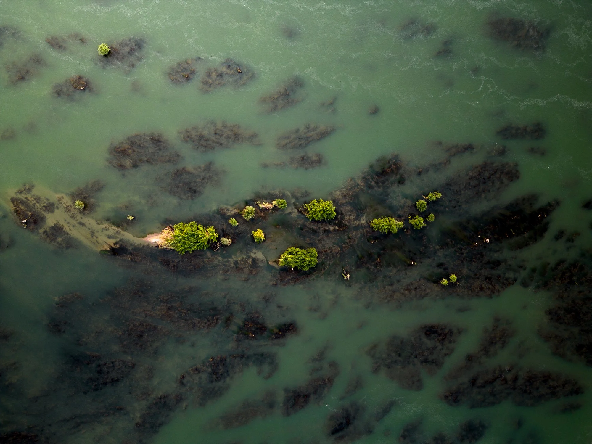 Aerial view of a submerged mangroves with scattered trees and rocks in green water of the Mekong River, Laos.