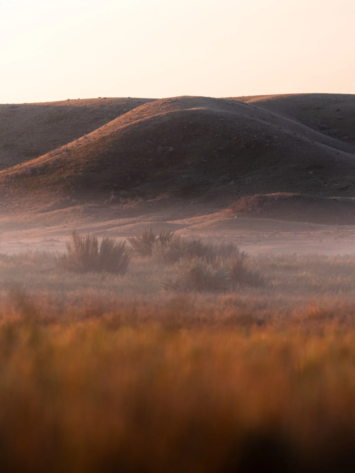 grasslands-national-park-morning-sunrise-rolling-hills-3.jpg