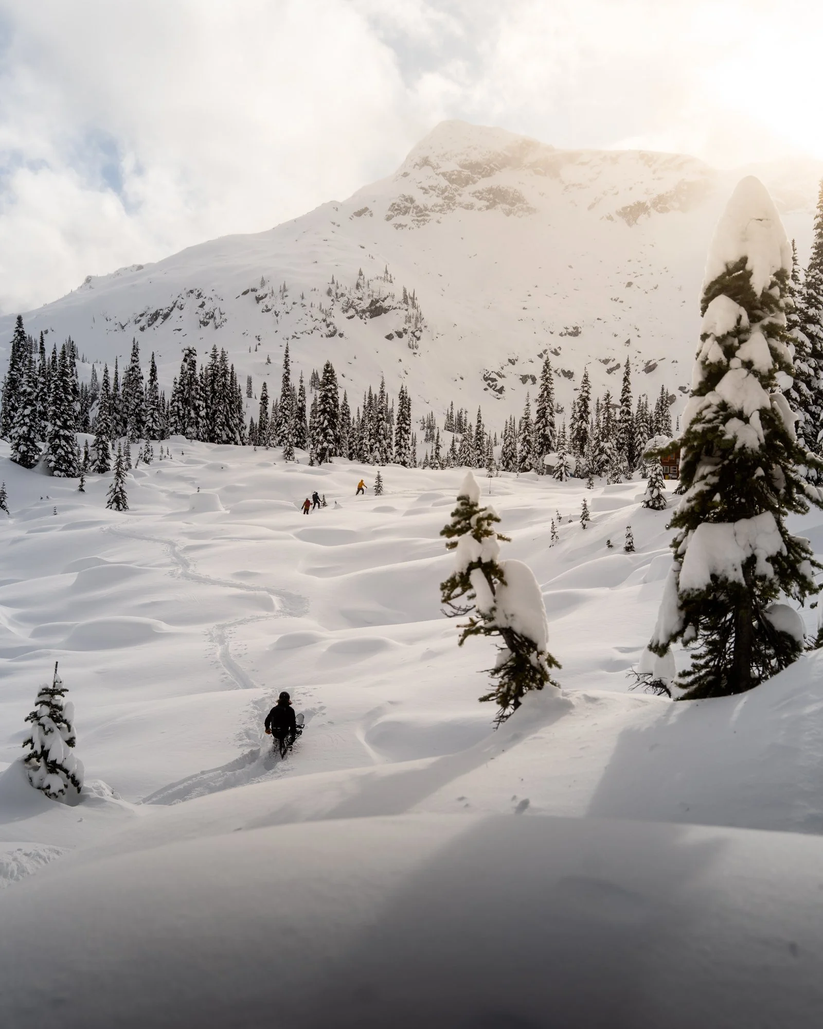 Snow-covered mountain landscape with evergreen trees and several people walking or snowshoeing through the snow at the Wendy Thompson Hut near Pemberton, British Columbia.