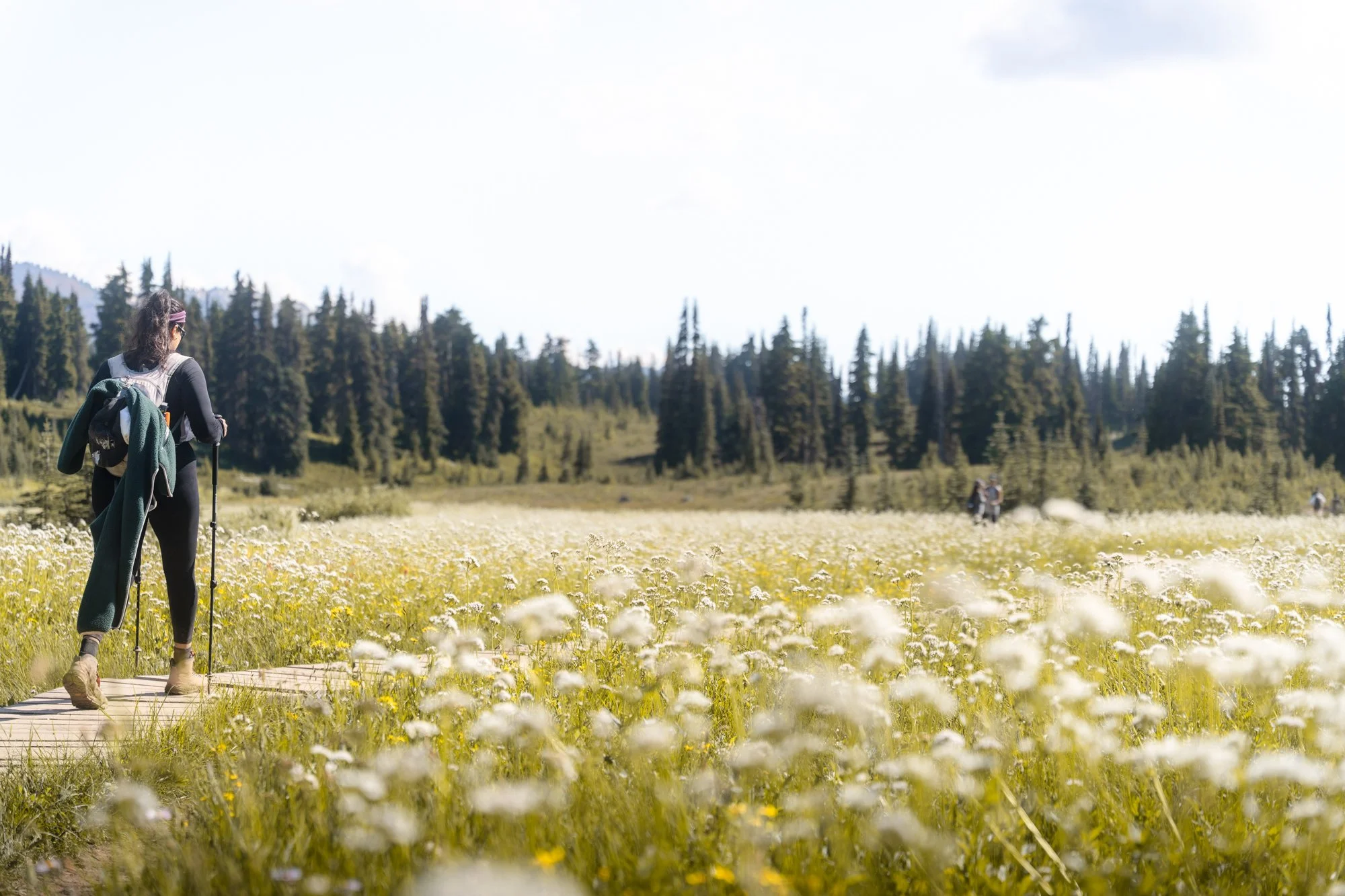 Garibaldi-park-taylor-meadows-flowers-women-hiking.jpg