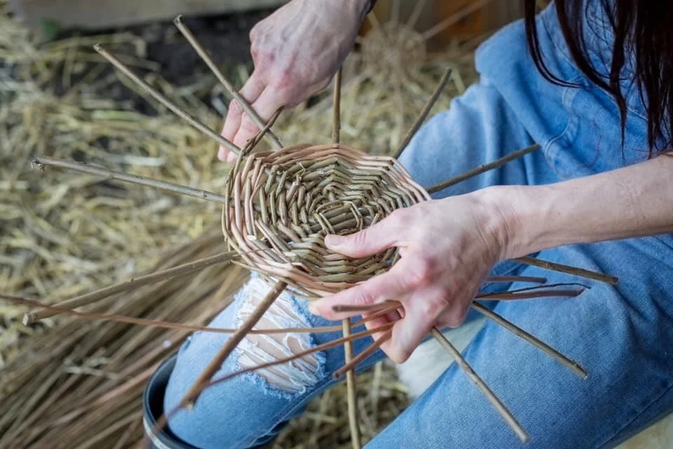 An interview with Di from the Wild Harvest School of Self Reliance by Becky