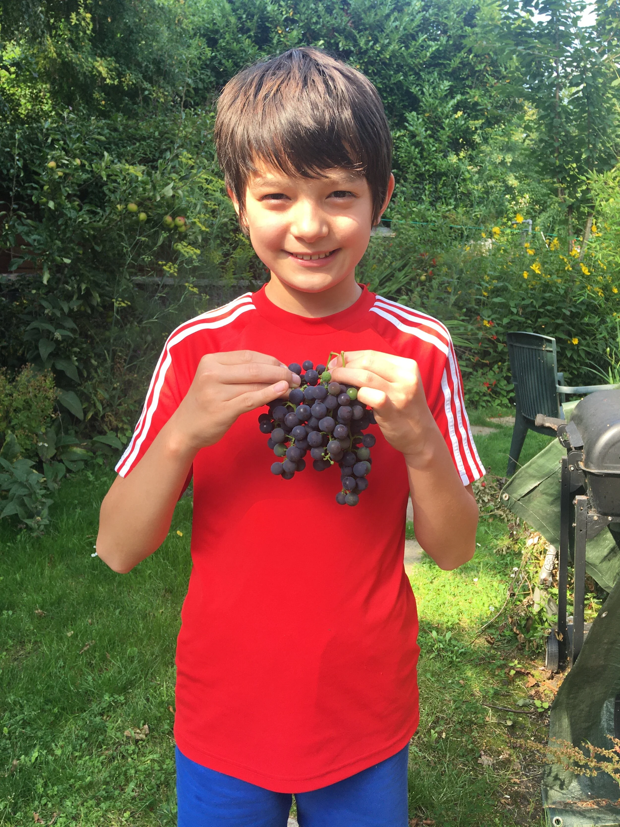 A Surprise Crop - Part One by Paula