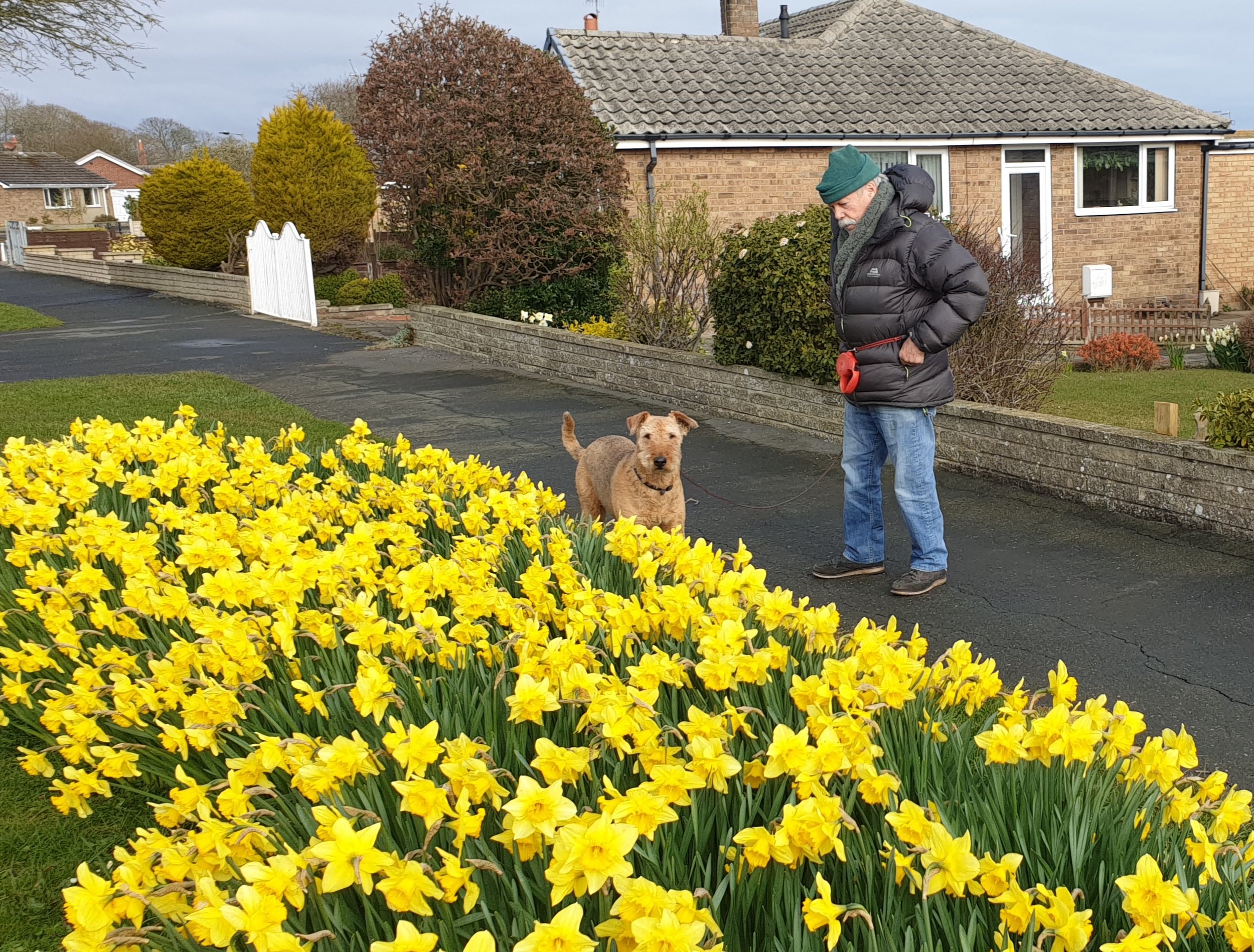 dad and daffies.jpg
