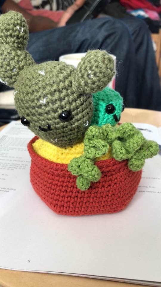 my cactus crochet pot.jpg