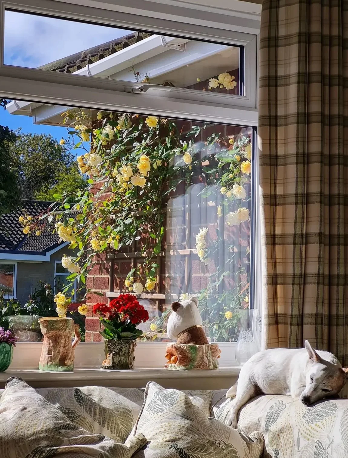 When it feels like Summer