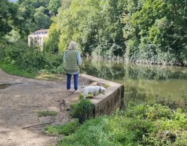 Along the River Avon