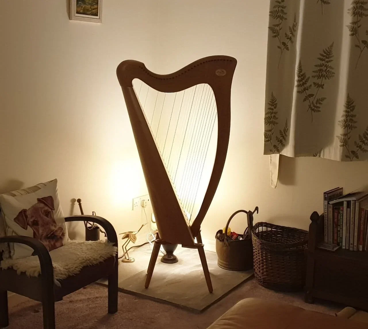 Early Days with my Beautiful Harp