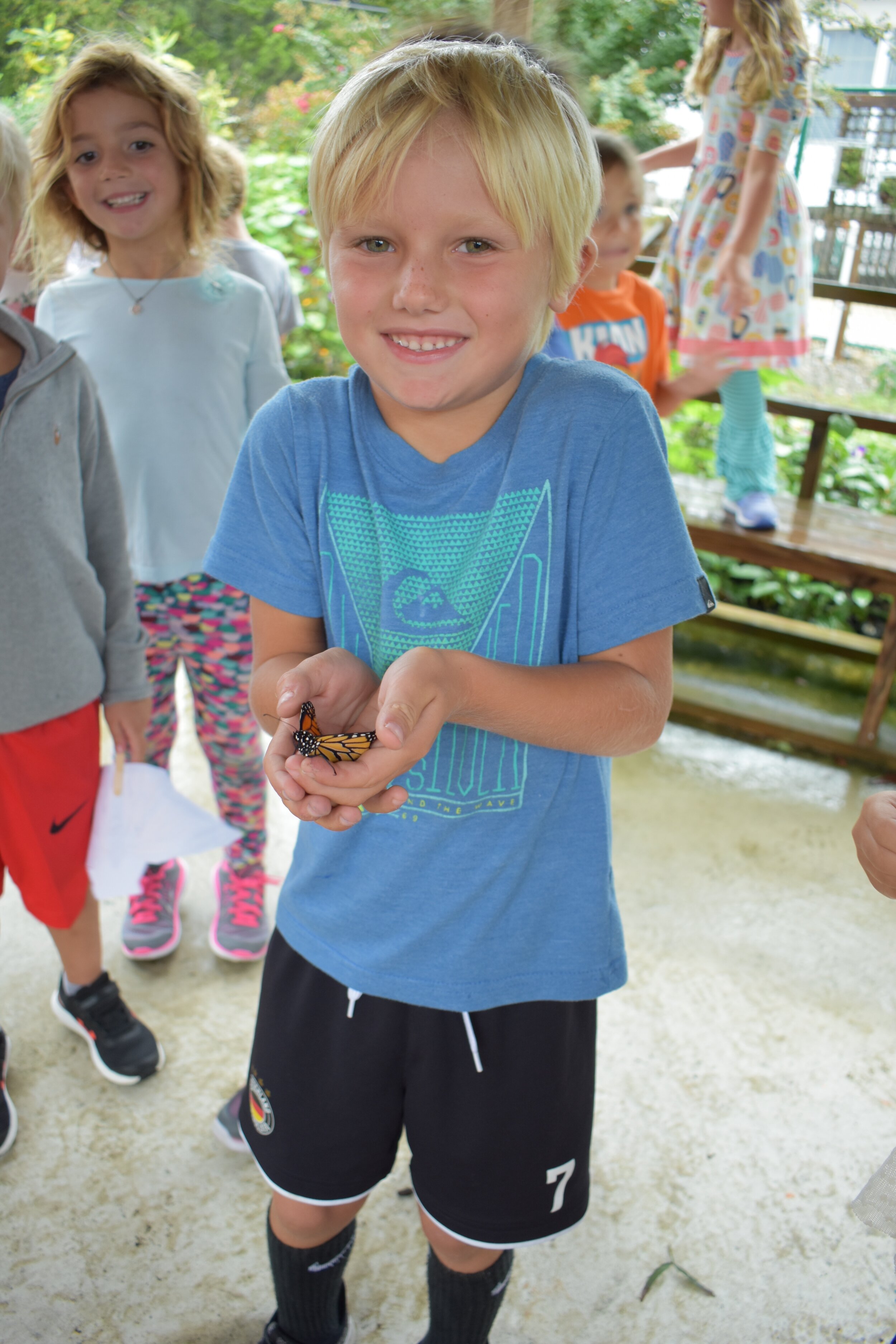 Cruz Ferguson holds a monarch butterfly during kindergarten’s annual butterfly release with The Wetlands Institute.