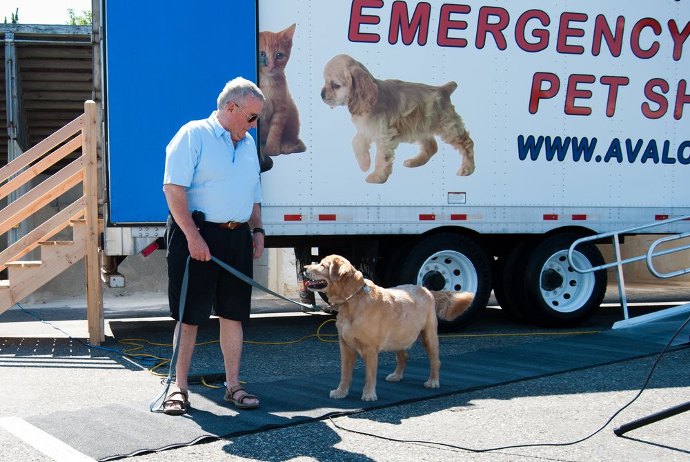 Councilman Tipping, coordinator of the pet evacuation trailer.