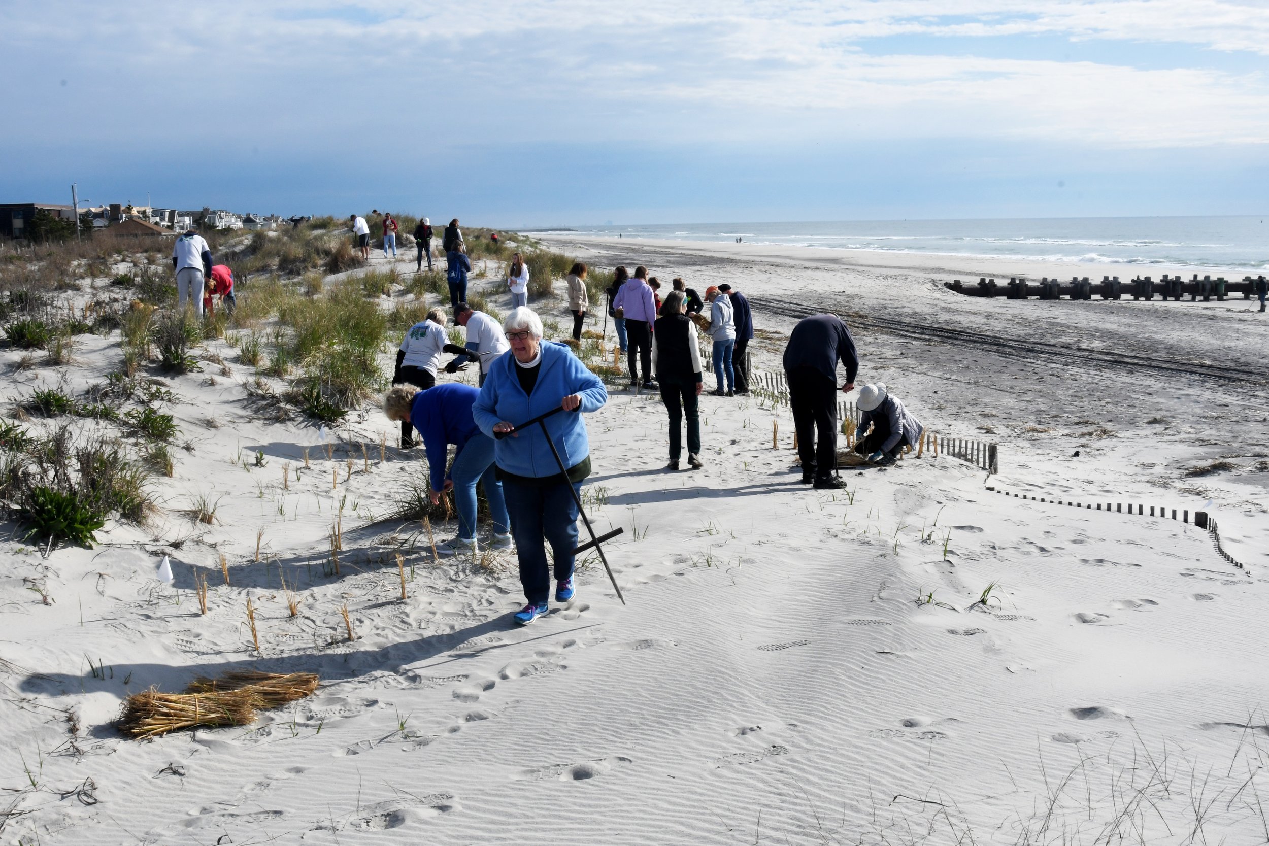 More than 100 volunteers joined Avalon’s Environmental Commission for the Spring Dune Grass Planting in 2022, planting 12,000 culms to help strengthen Avalon’s critical dune system.