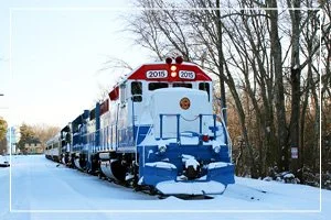 Seashore Lines