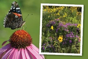 A Sustainable Future: We All Have a Role