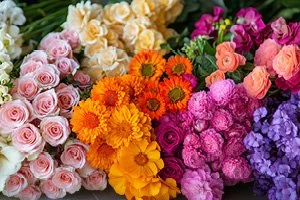 AVFD Flower & Plant Sale