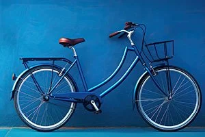 Avalon Police Department Bike Auction