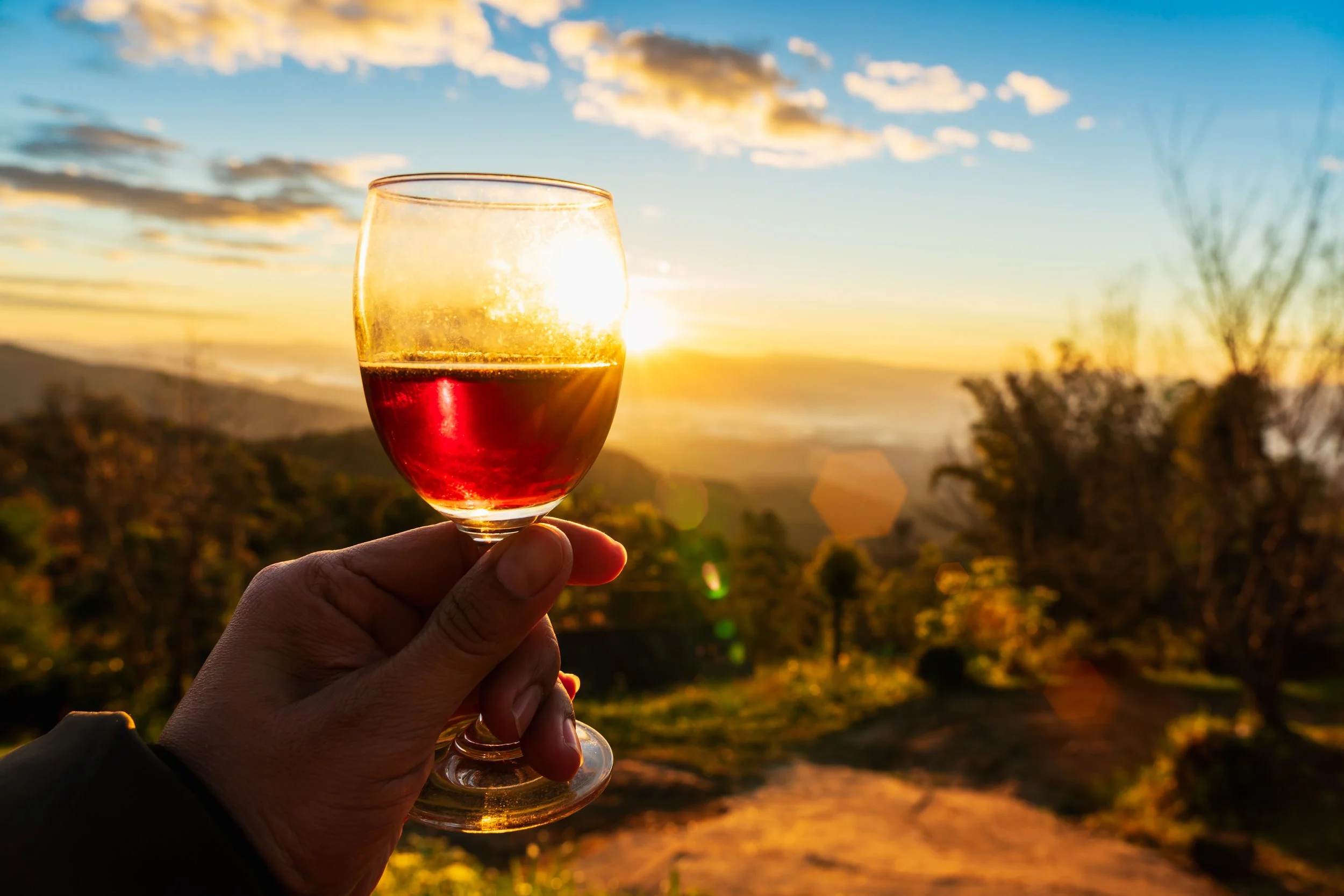 vecteezy_man-s-hand-holding-glass-of-wine-on-sunset-background_7727086.jpg