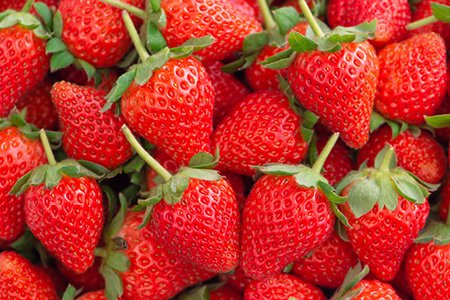 Strawberry Festival