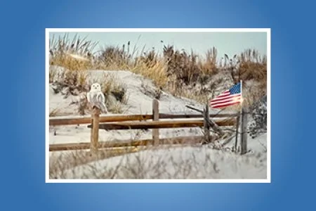 Avalon Historical Society’s Photo Contest Exhibit