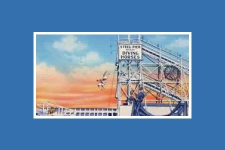 History Center Presents Rescuing the Last Diving Horse