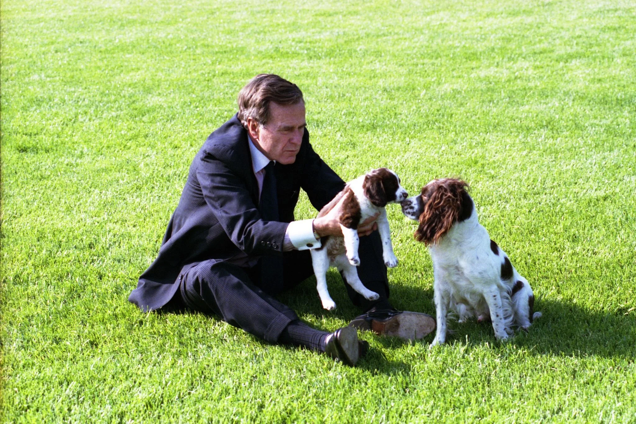George H.W. Bush with Millie and Spot