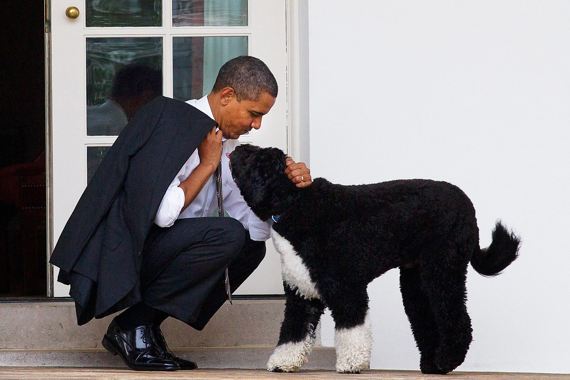 Barack Obama with Bo
