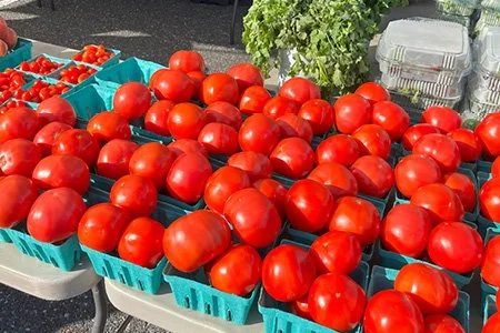 Stone Harbor Farmers Market