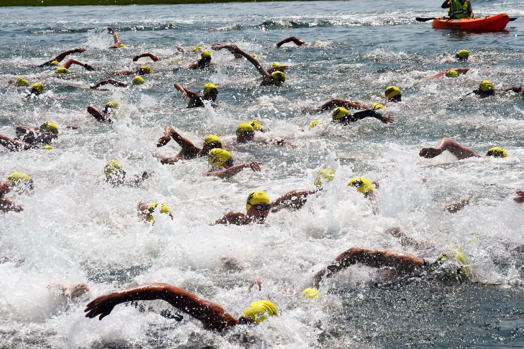 Cedar Island 5K Swim