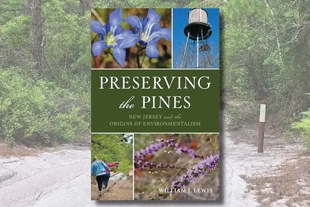 Preserving the Pines