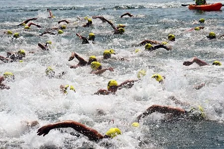 Cedar Island 5K Swim