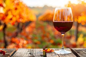 New Red Wines on the Shelves