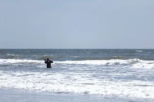 Tide Charts