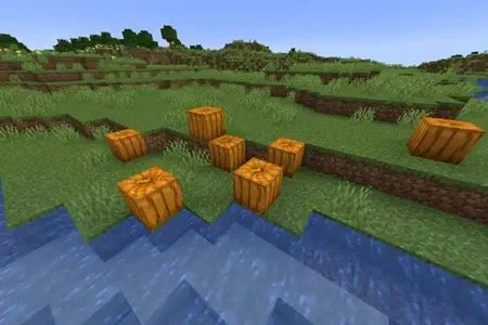 Minecraft Pumpkin Patch Hunt
