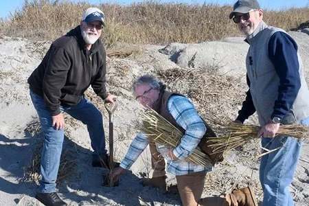 Fall Dune Grass Planting