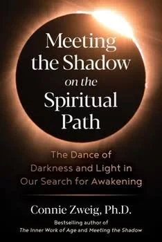 meeting the shadow on the spiritual path connie zweig.jpeg