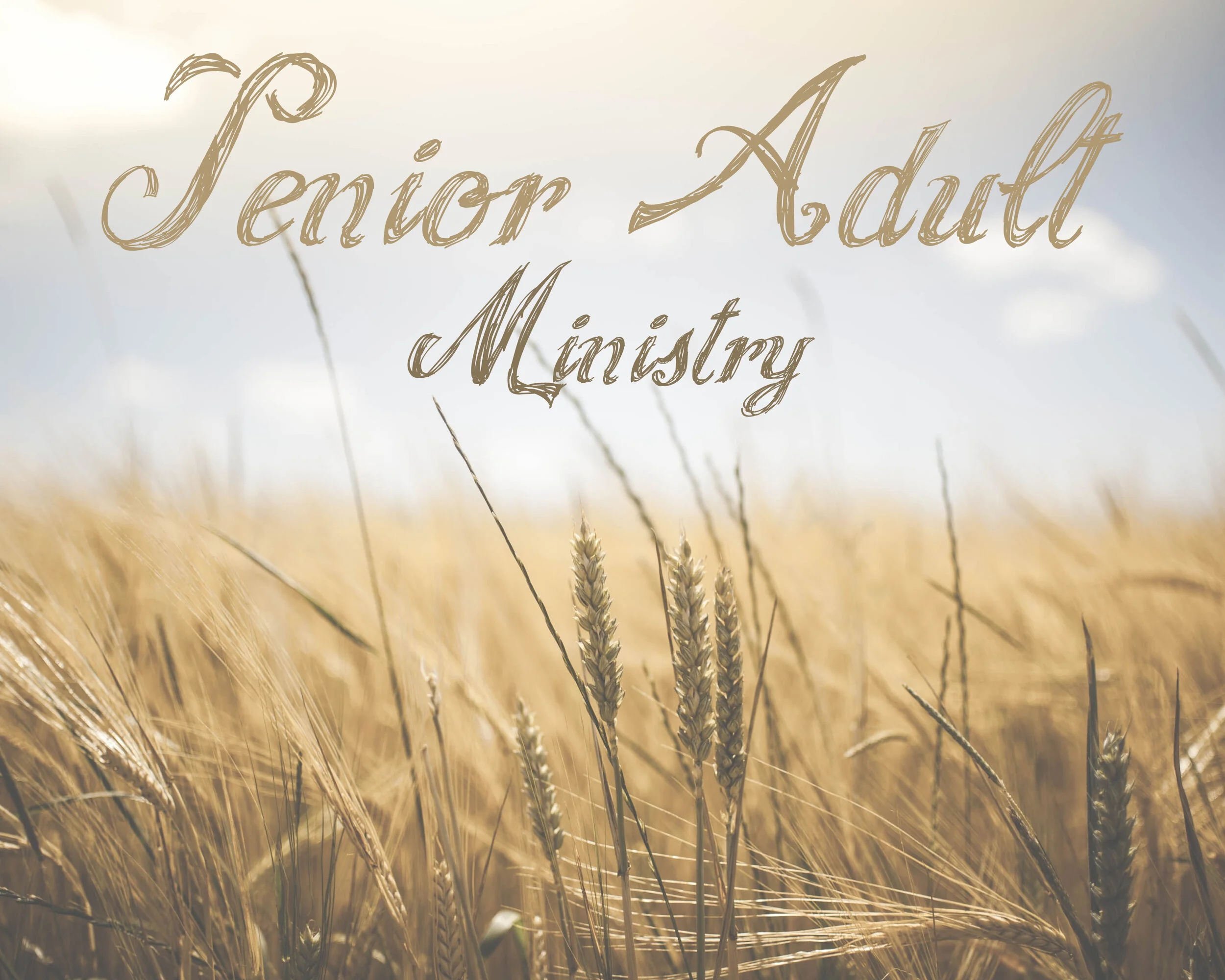 Senior Adult.jpg