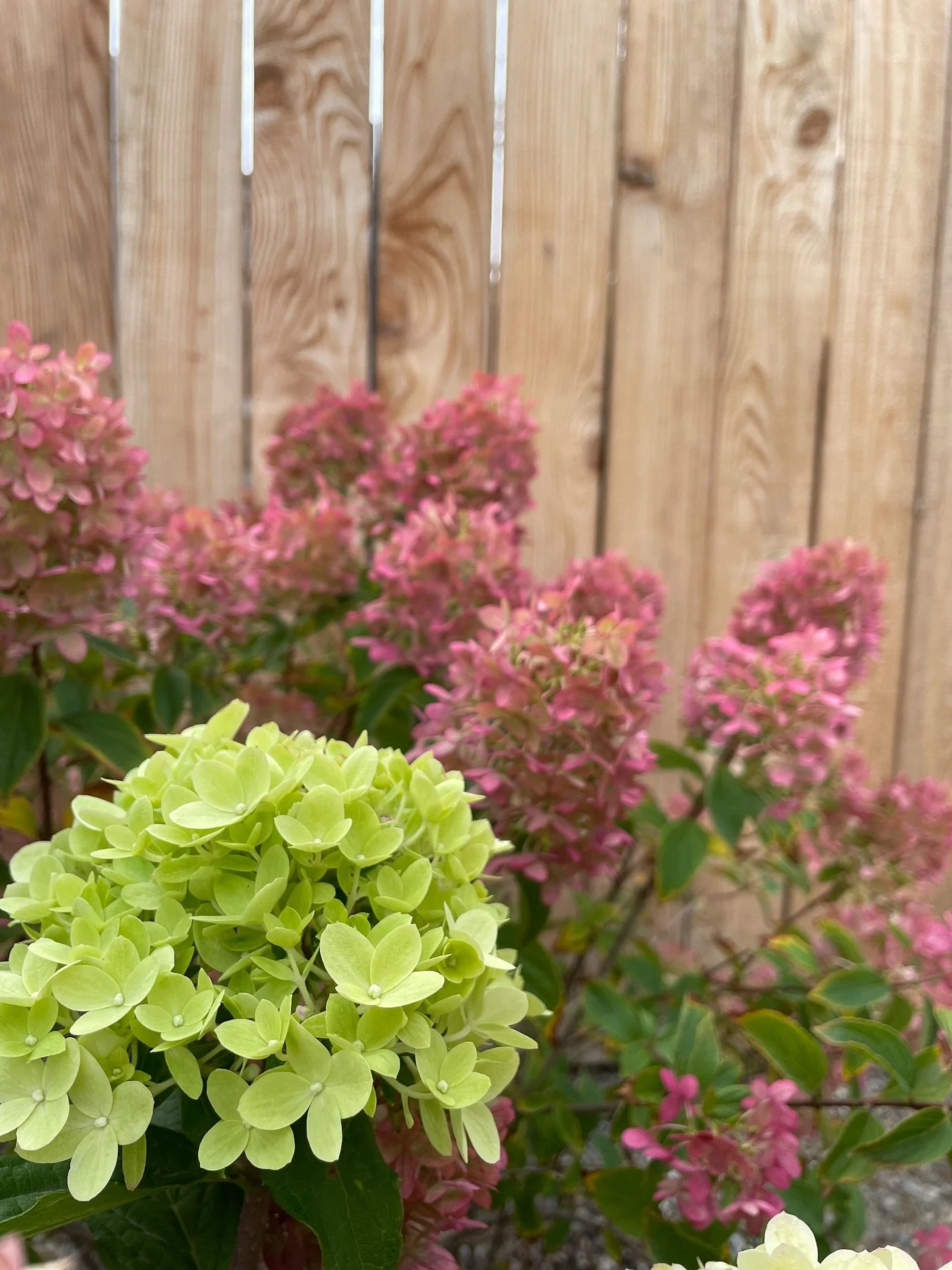 ππAnd just like that October is here, the fall colors are in full swing at the nursery and we’re loving every minute of it. π