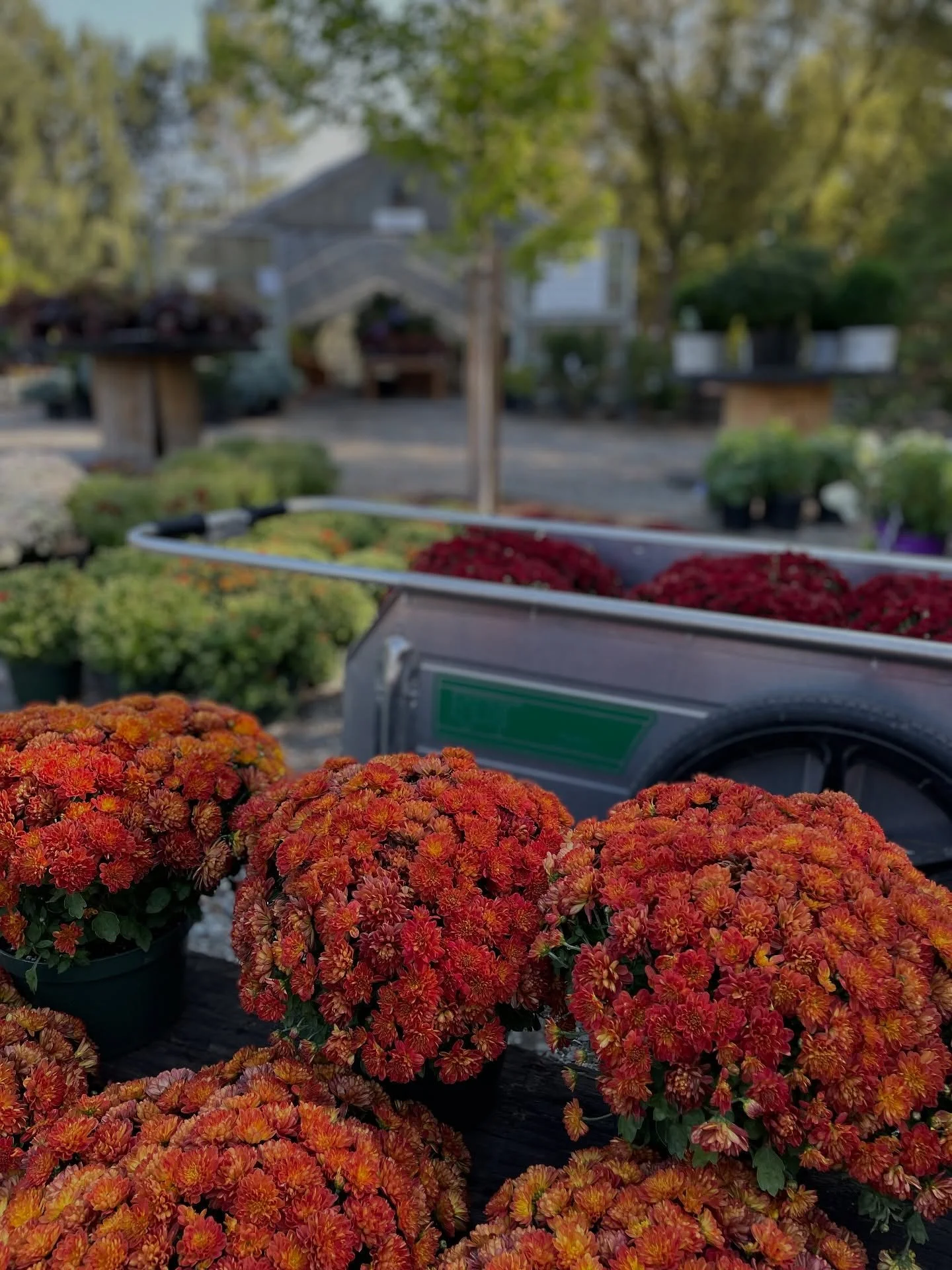 Two more days…
Tonight is our fall family movie night gates open at 5:30 movie to start at 6:00 
We’ll be showing How to Train Your Dragon 
Come enjoy a family friendly evening with us to cap off a beautiful season! 
Tomorrow will be