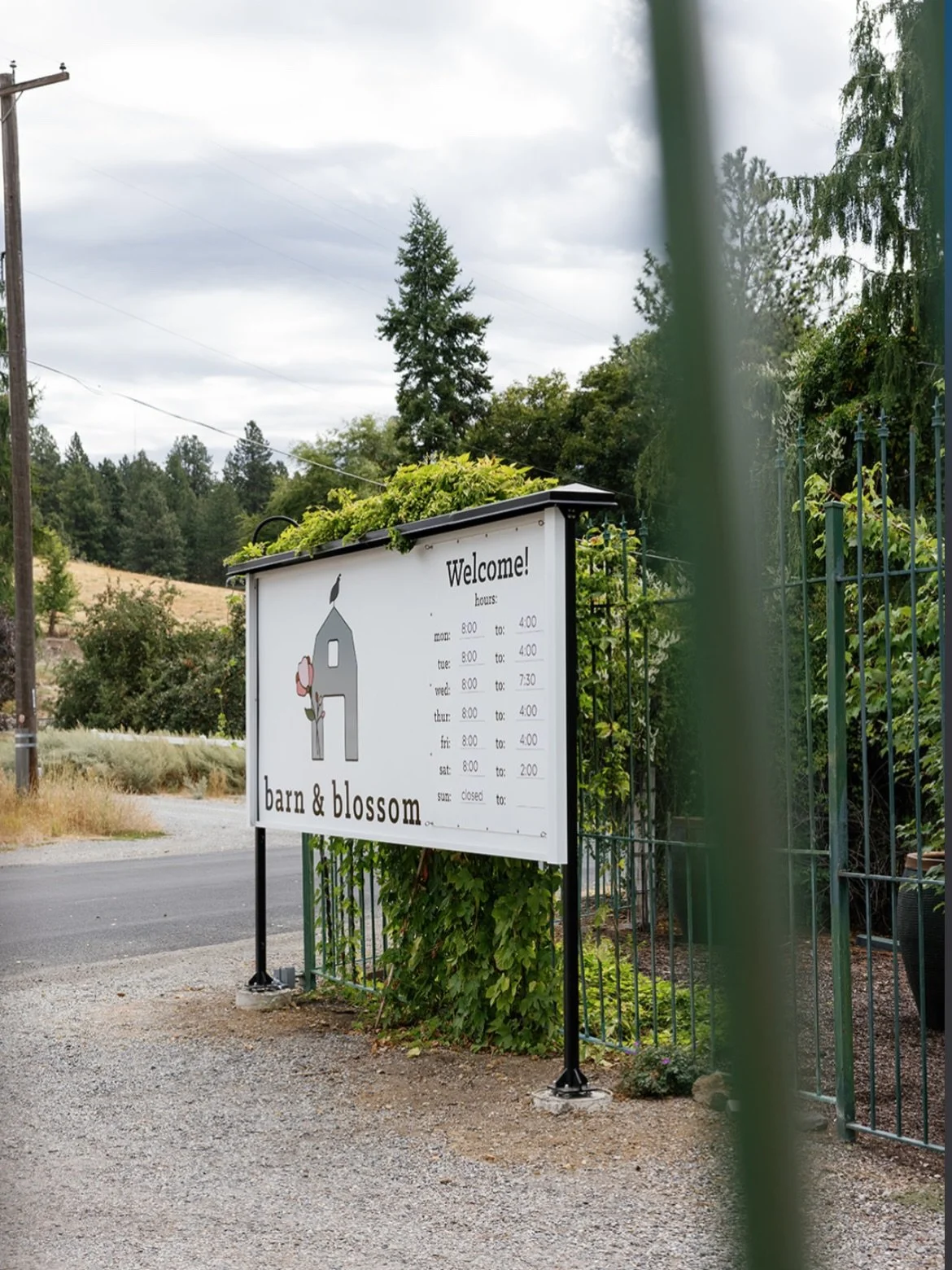 🌞Sunshine on a beautiful Monday morning, can&rsquo;t wait to see all your faces here in a few weeks!! 🥰

#spokanenursery #spokaneplantpeople #spokaneplants #spokanegardening #spokaneyards