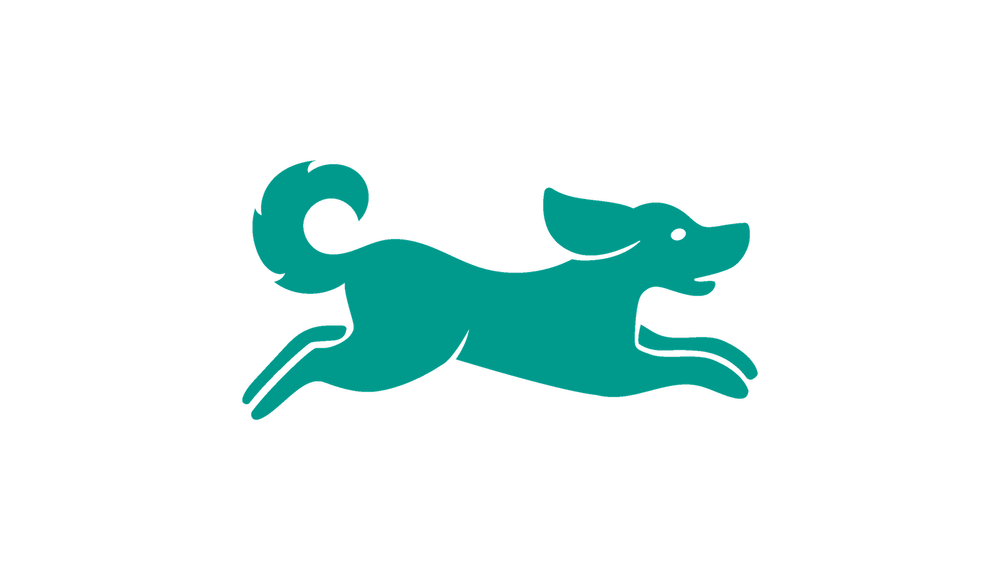 Best Dog Trainer NYC Dog Training