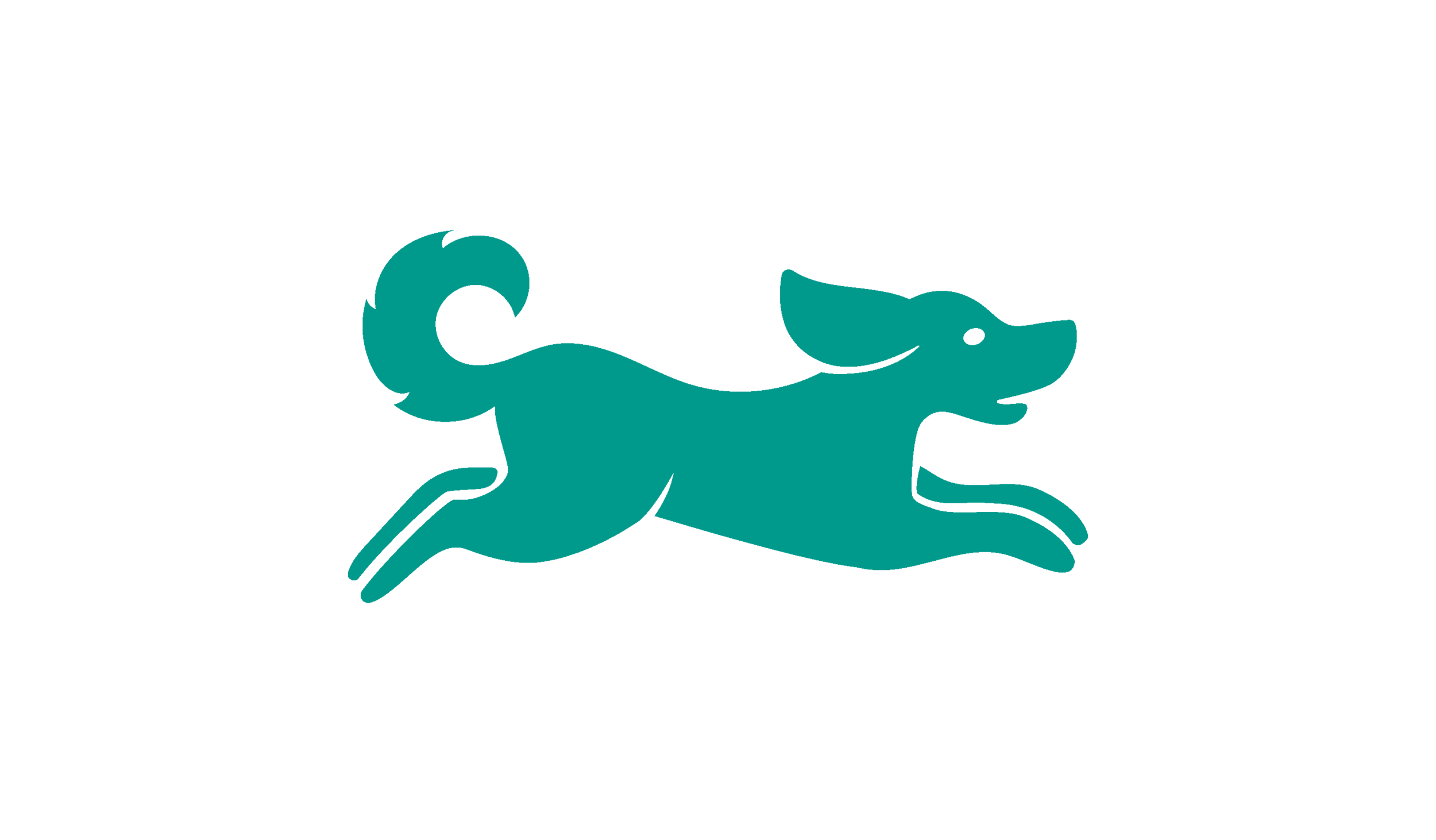 blake rodriguez dog trainer