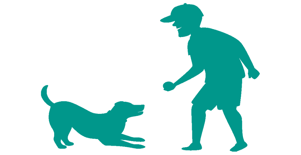 Best Dog Trainer NYC Dog Training
