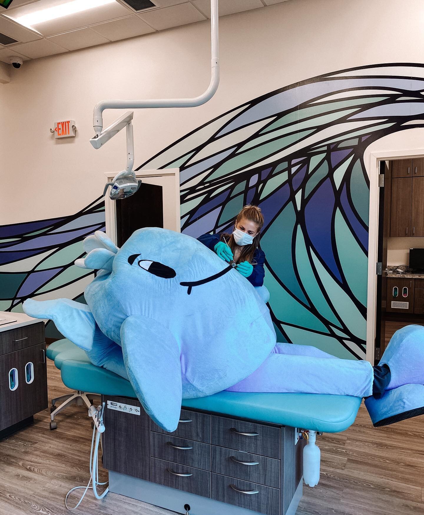 We had a special patient today🤫🐳