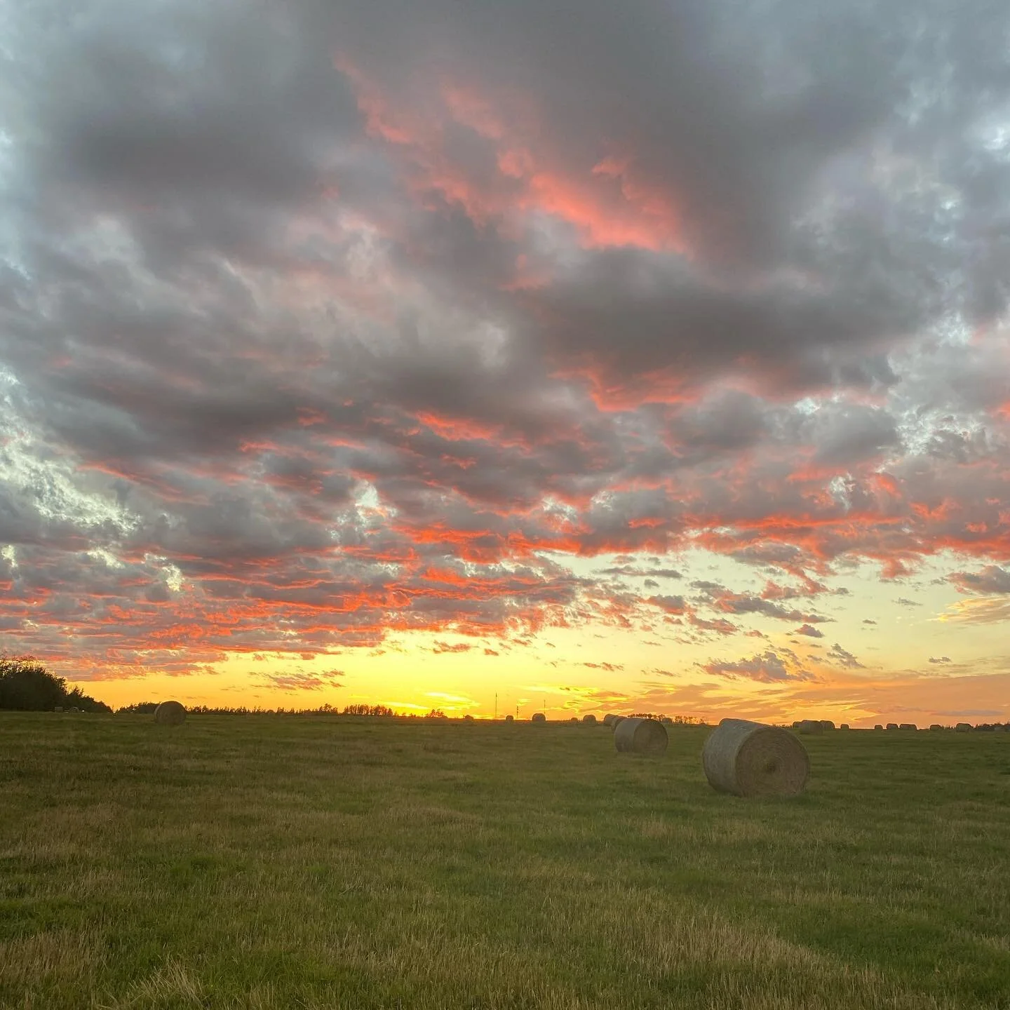 This is a sunset. Imagine if today was going to be your last one. You still mad? Still hate that person? Still holding that grudge?  Please don&rsquo;t. Let it go and live!!!