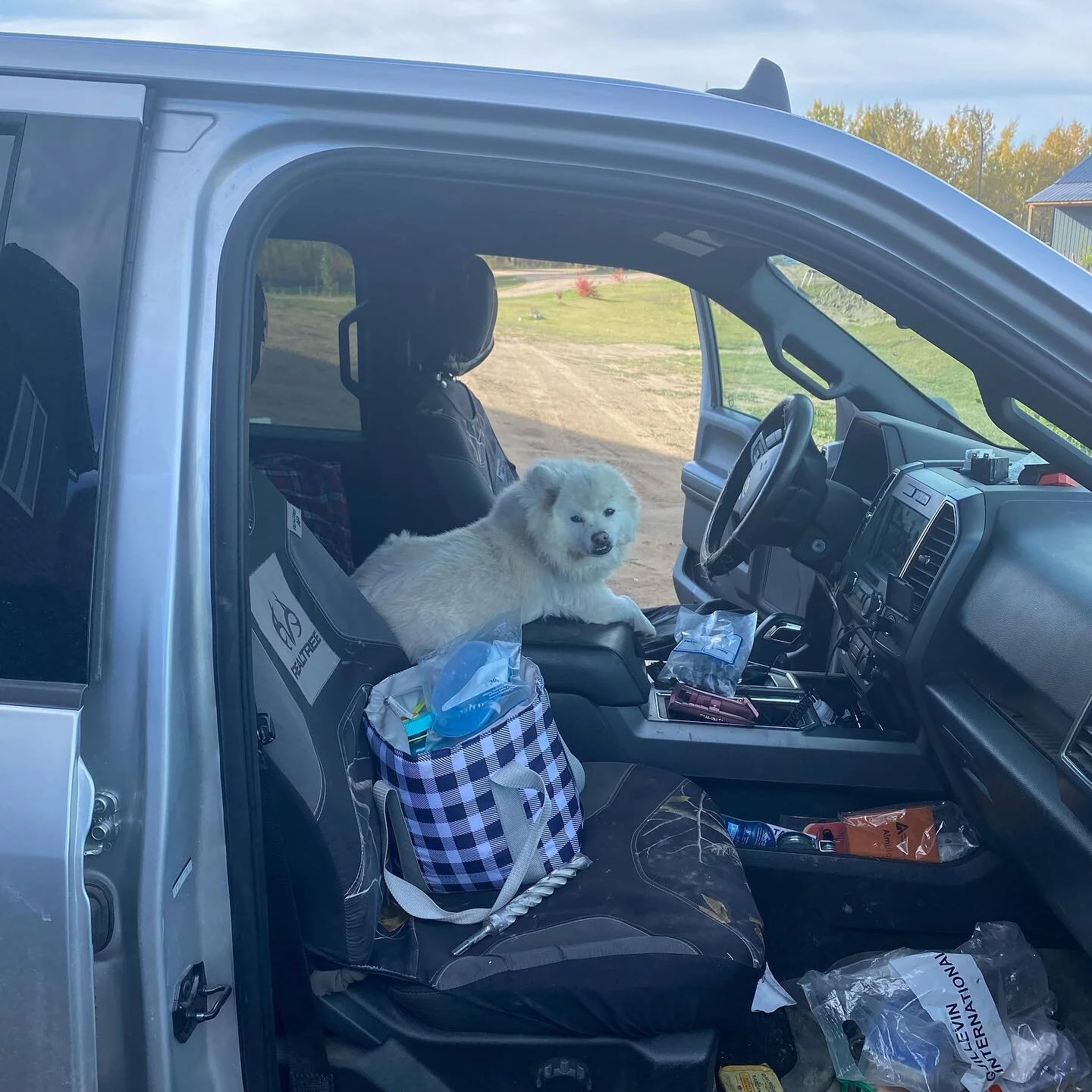 Our customers dog seems to like us lol. Tonight we roll!!!