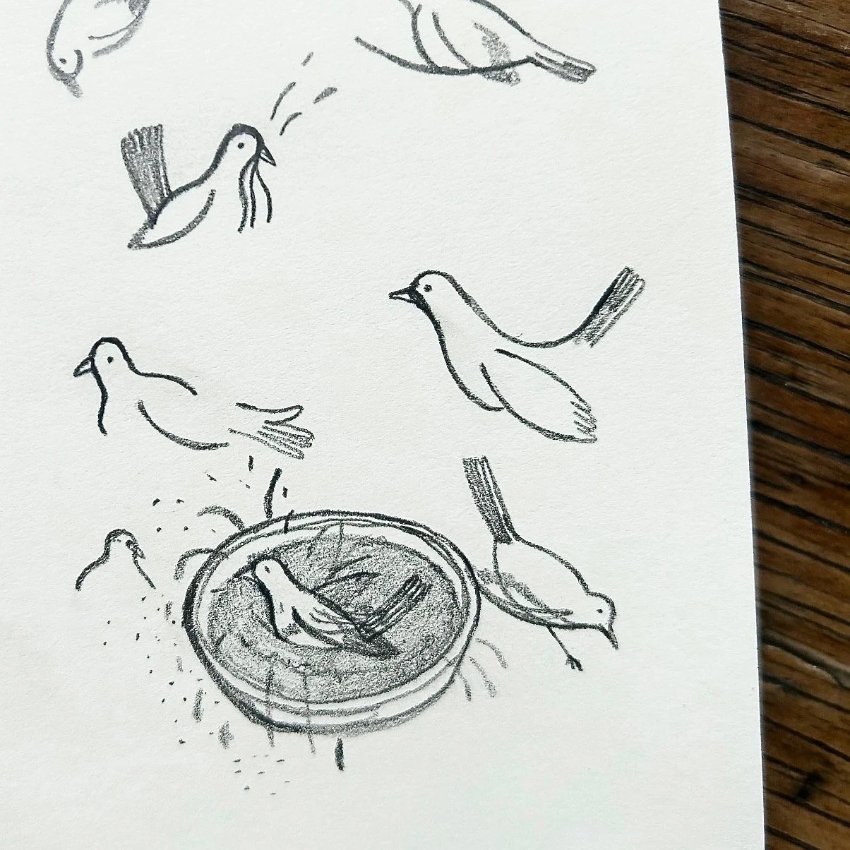 Good morning,
A few people seemed to like the little blackbird having a bath in my latest painting so just for you here's the original sketch. 🐦&zwj;⬛☺️ x x x #maniannieart #maniparkes #blackbird #sketchbookdrawing #sketchbookart #sketchbookdoodle #