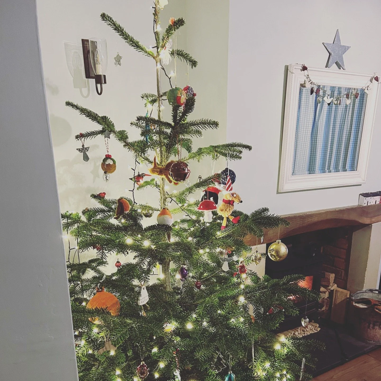 Twas the night before Christmas, when all through the house...... #maniannieart #maniparkes #christmaseve🎄 #twasthenightbeforechristmas