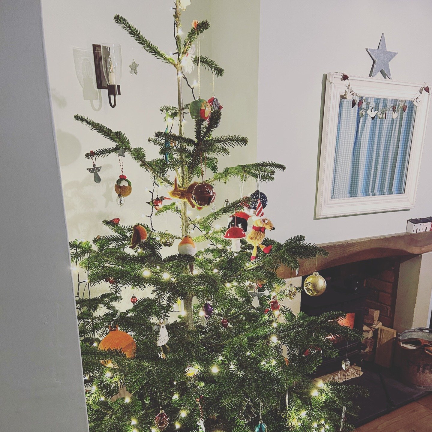 Twas the night before Christmas, when all through the house...... #maniannieart #maniparkes #christmaseve🎄 #twasthenightbeforechristmas