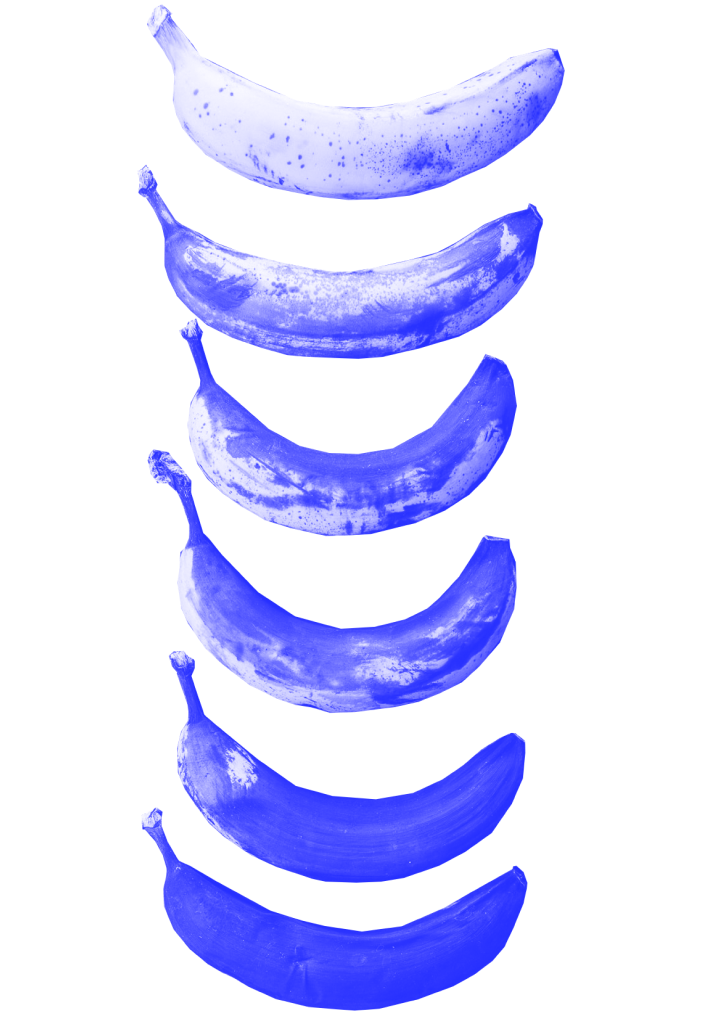Go Banans (5).png