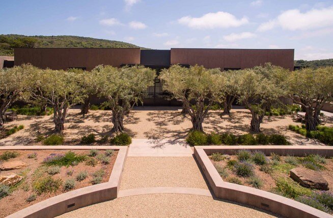 The earth tones of Continuum Estate's buildings fade into the rocky red volcanic soil of Pritchard Hill in the Vaca Mountains. Designed by winery architect Howard Backen of @backengillamarchitects and built by Grassi, its owners Tim Mondavi and his s