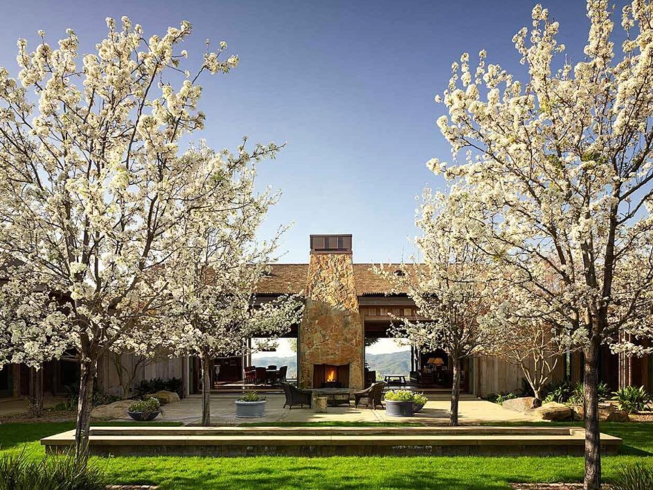 Summer living at its best at thisSaint Helena modern farmhouse. #grassiandassociates 
📸: Adrian Gregorutti