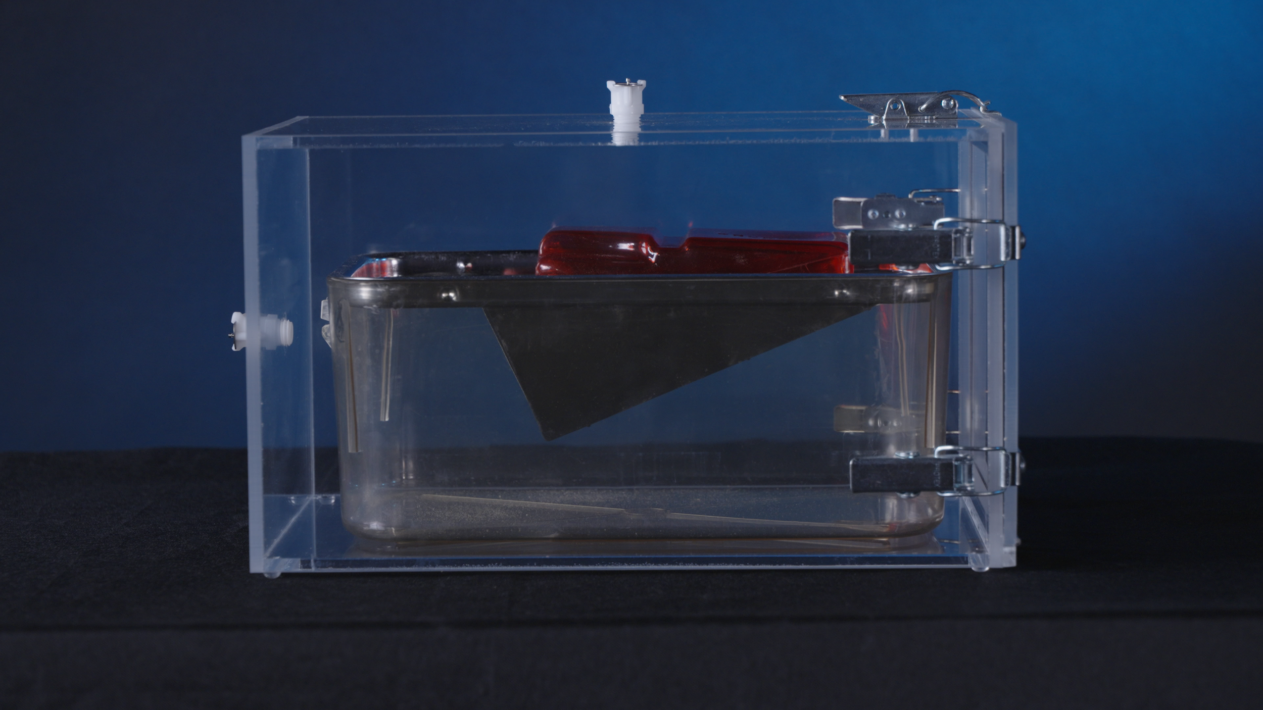 Passive Rat/Mouse Viper Chamber